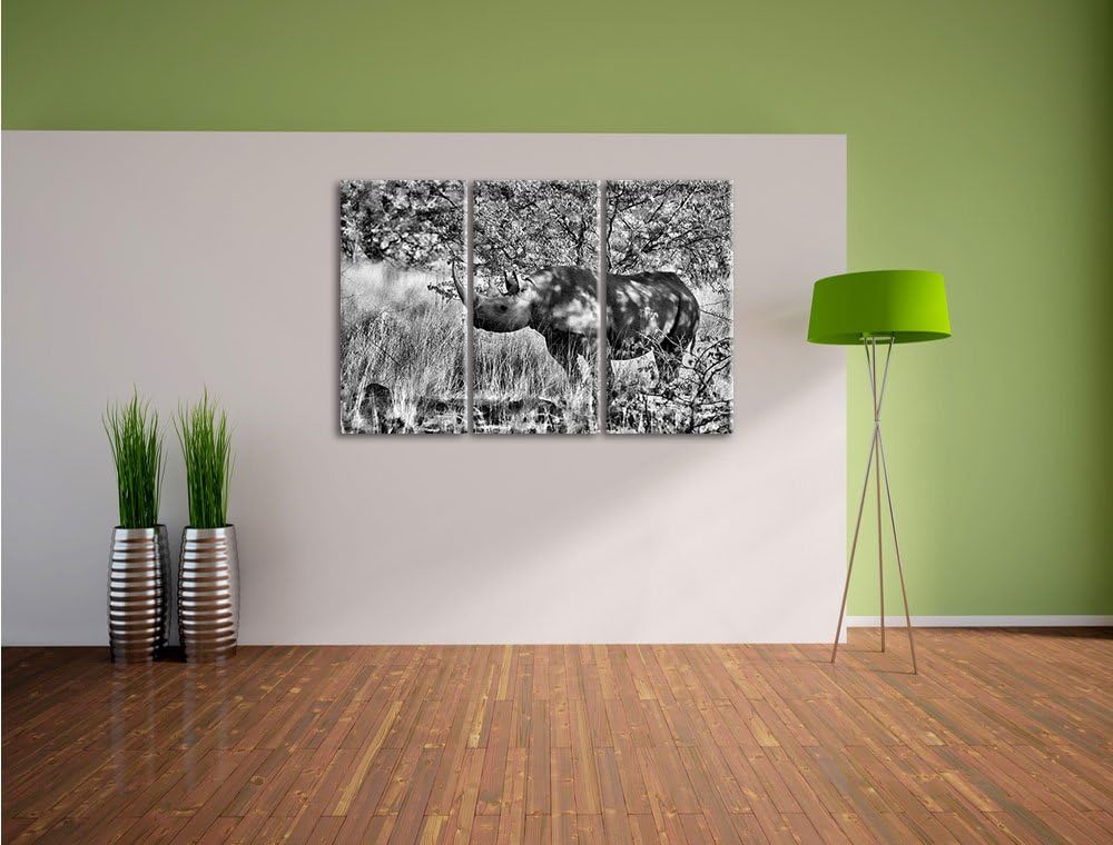 Pixxprint Nashorn in der Savanne als Leinwandbild/Grösse: 3 Teilig (120x80) cm/Wandbild/Kunstdruck/f