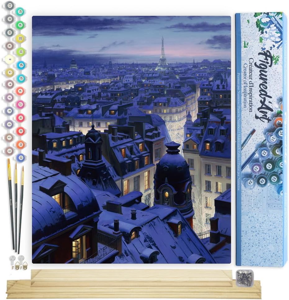 Figured'Art Malen Nach Zahlen Erwachsene Mit Rahmen Dächer in Paris - Paint by Numbers Basteln DIY B