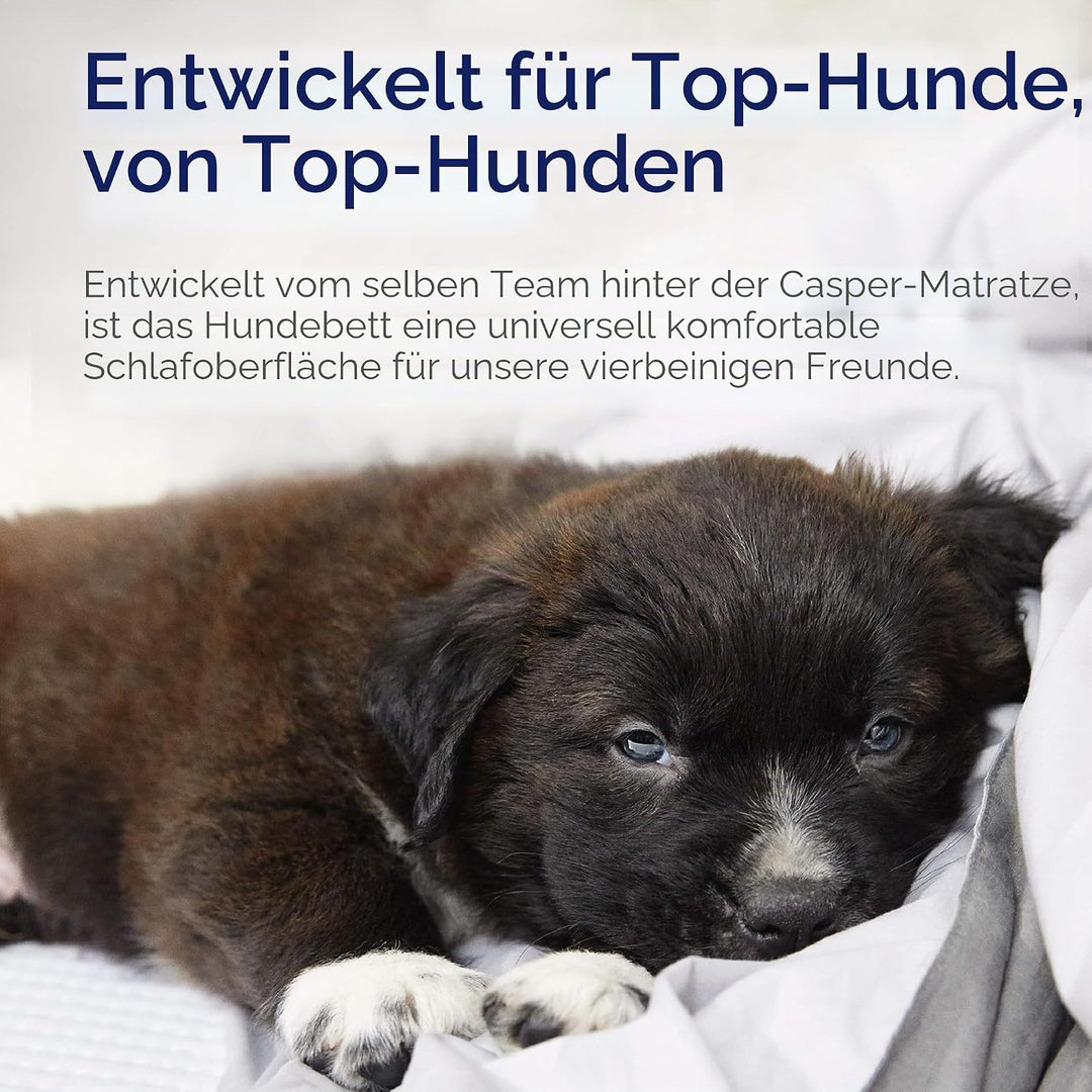 Casper Hundebett, Plüsch, Memory Foam, klein, Sandfarben sand Small, sand Small