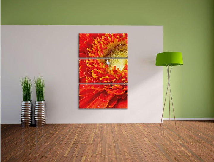 Pixxprint Gerbera Sonne Gras Blumen / 3-Teilig/Gesamtmass 120cm Leinwandbild bespannt auf Holzrahmen