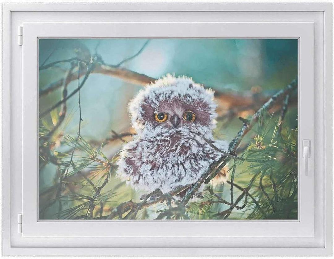 Fensterdeko I Sichtschutz Fenster-Sticker Selbsthaftend I Dekofolie für Bad, Küche, Kinderzimmer - W