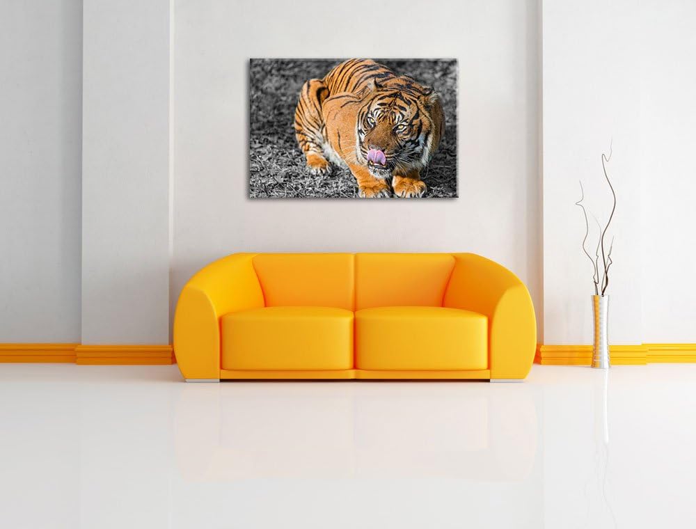 Pixxprint grosser Tiger schwarz/weiss auf Leinwand, XXL riesige Bilder fertig gerahmt mit Keilrahmen