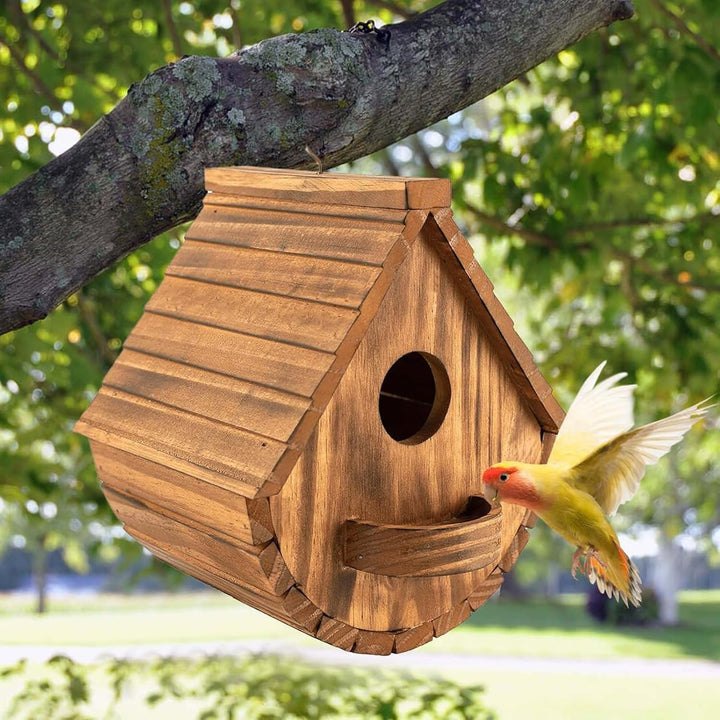 Nistkasten für Wildvögel, Gartenvögel mit sicherem Schutz gegen Nesträuber, Aufhängen Kiefernholz Vo