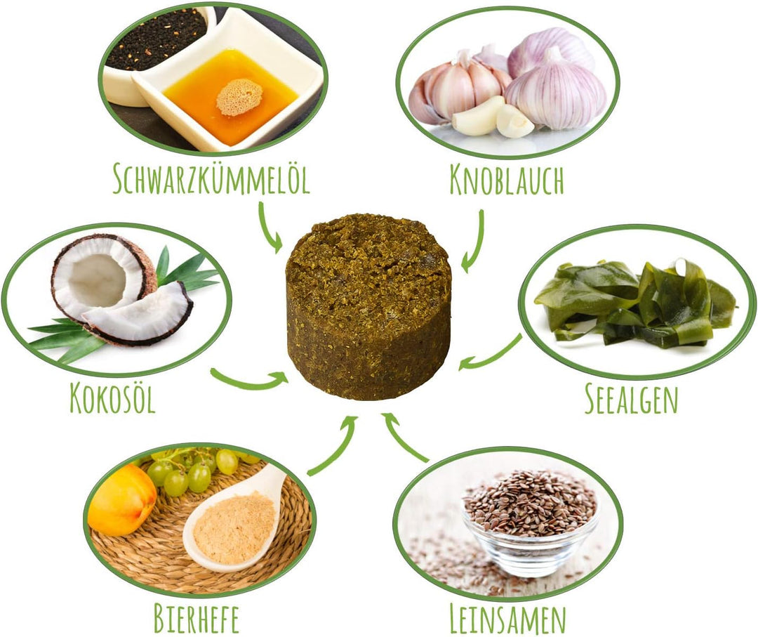 Schnüffelfreunde Zerotan Plus I Mit Schwarzkümmelöl und Kokosöl - Snack für Hunde (300g - ca. 360 St