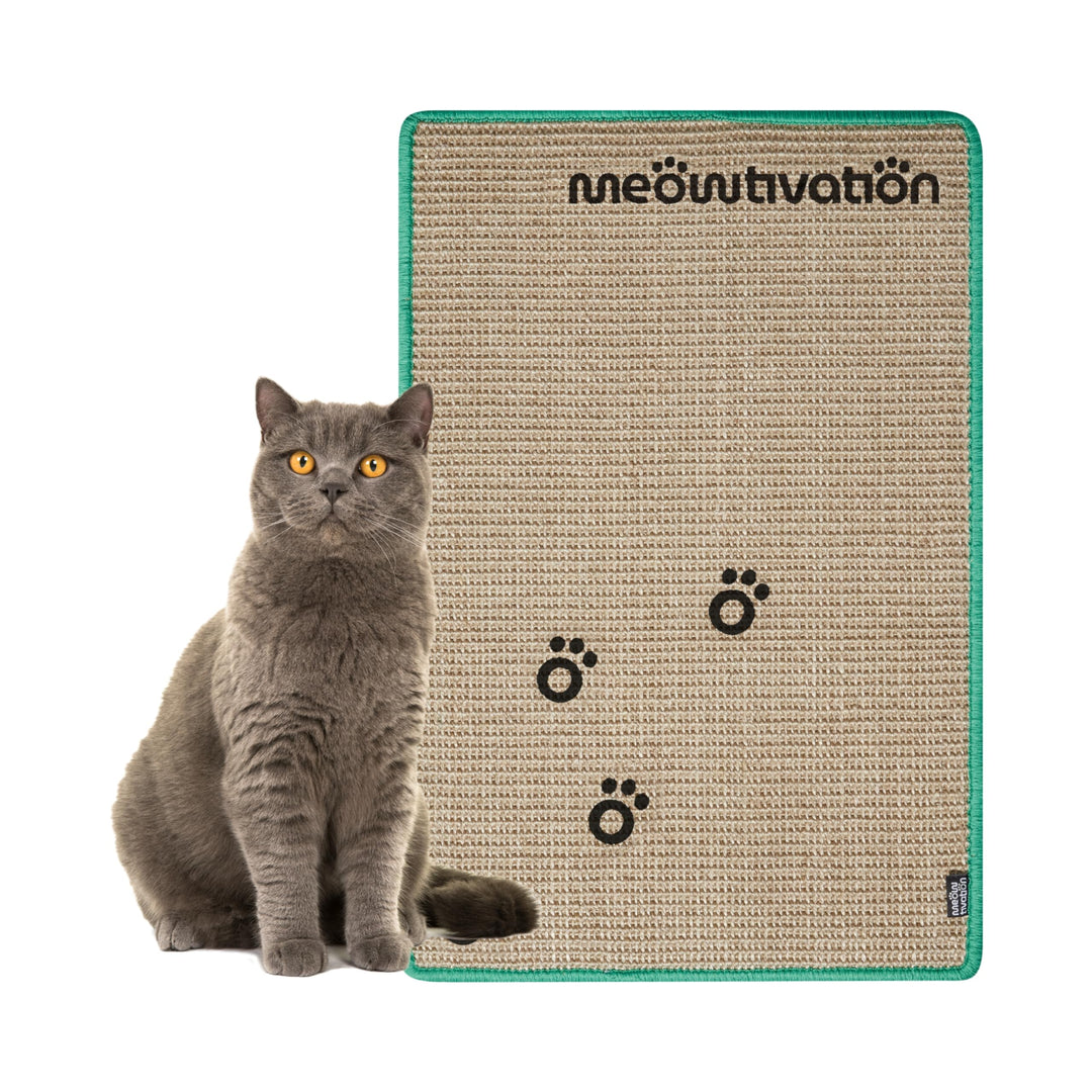 Kratzmatte für Katzen – Hochwertiger Kratzteppich aus Sisal mit Meowtivation-Pfoten, natürliche Krat