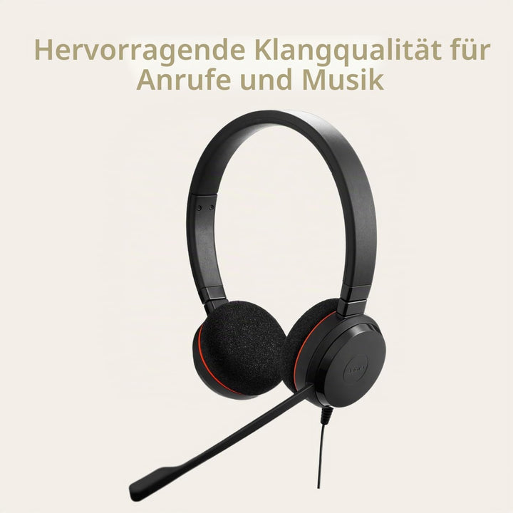 Jabra Evolve 20 Stereo Headset – Microsoft Certified Headphones for VoIP Softphone with Passive Nois