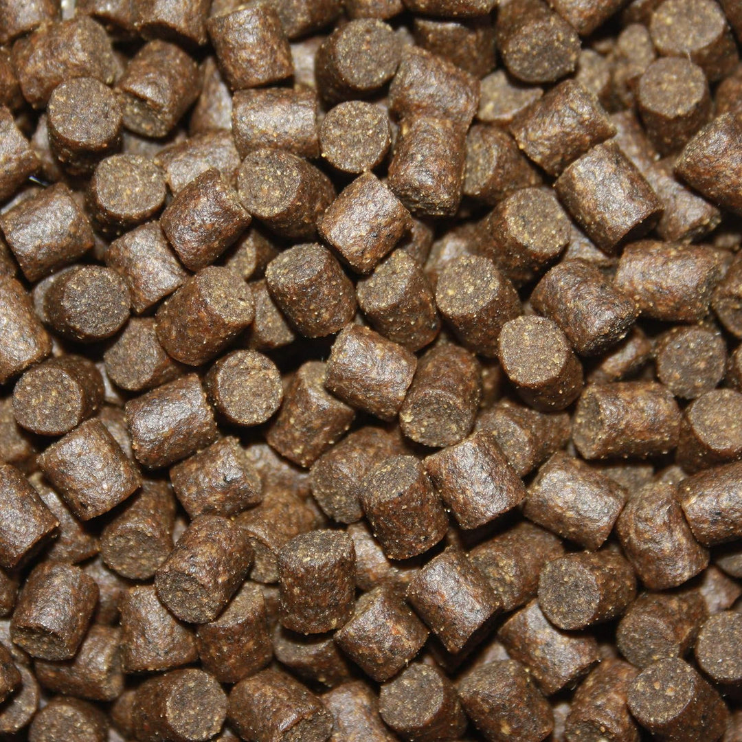 Tomodachi Störfutter gross, Energiefutter Stör perfekt für die ganzjährige Störfütterung, Störsinkfu
