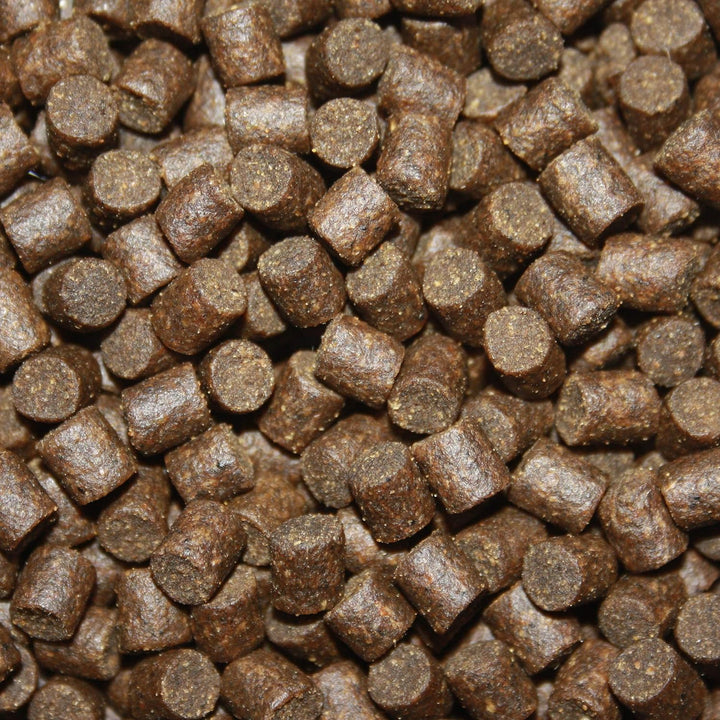 Tomodachi Störfutter gross, Energiefutter Stör perfekt für die ganzjährige Störfütterung, Störsinkfu