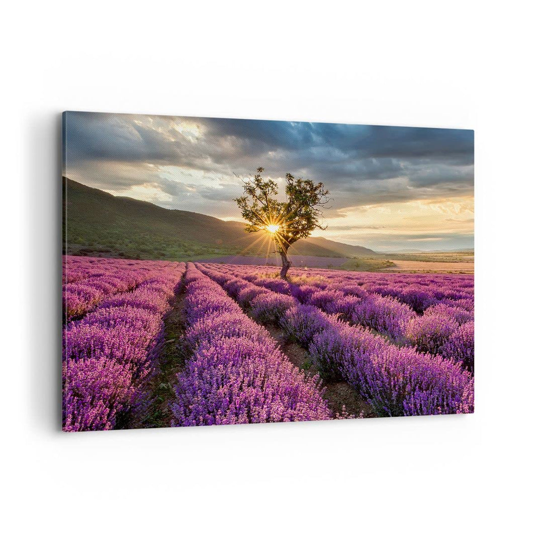 Bilder auf Leinwand 100x70cm Leinwandbild mit Rahmen Lavendel Berge Feld Gross Wanddeko Bild Schlafz