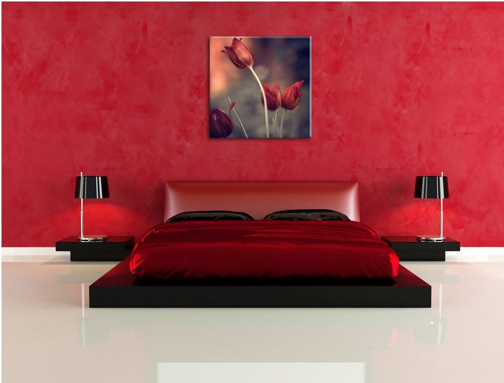 Edle Tulpen im Abendlicht, Format: 70x70 auf Leinwand, XXL riesige Bilder fertig gerahmt mit Keilrah