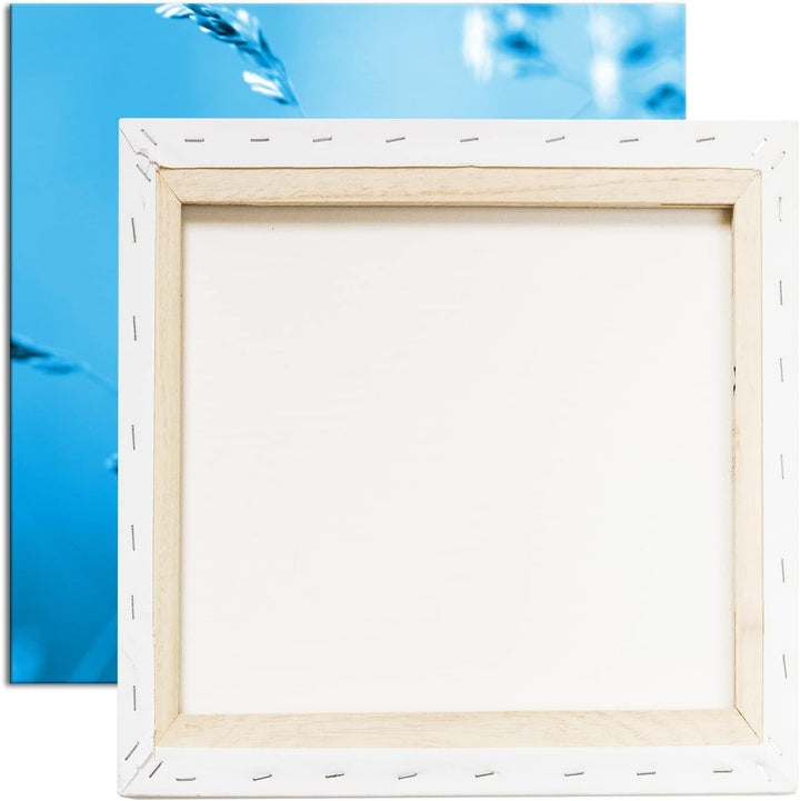 deyoli Kleiner roter Marienkäfer Format: 40x40 Effekt: Monocrome Blau als Leinwandbild, Motiv fertig