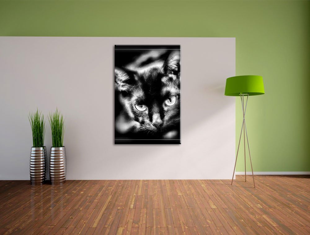 Pixxprint schöne Schwarze Katze als Leinwandbild/Grösse: 100x70 cm/Wandbild/Kunstdruck/fertig bespan