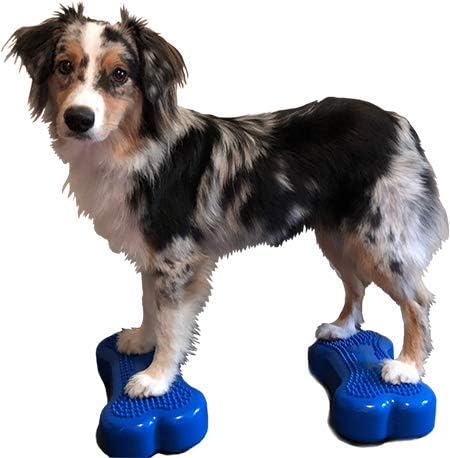DOG Copenhagen Fitpaws Mini K9 Bone Instabilitätsscheibe für Propriozeption