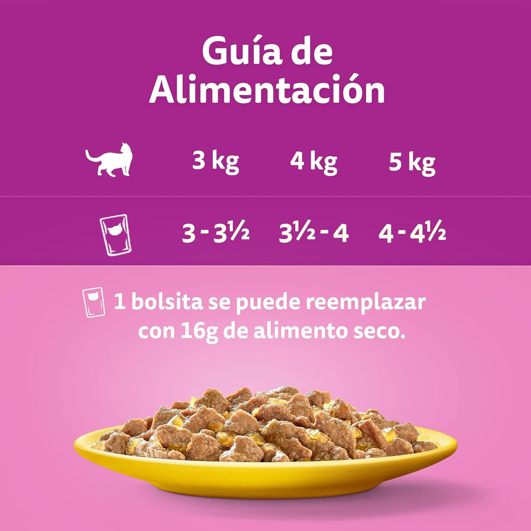 Whiskas Nassfutter für Erwachsene Katzen Auswahl Vögel in Gelatine Multipack (4 x 12 Beutel x 85 g)