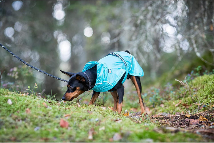 Rukka Pets HASE Regenmantel für Hunde Tuerkis 25 25 Tuerkis, 25 Tuerkis