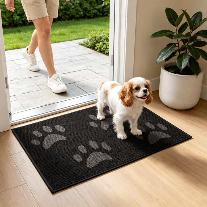Schmutzfangmatte Innen & Aussen [80×120cm] – Fussmatte mit Rutschfester Unterseite | Saugstarke Fuss