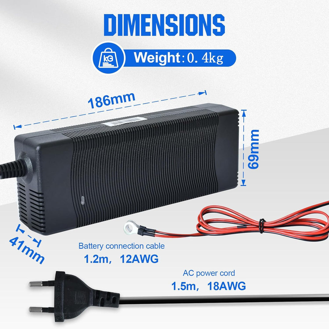 DCHOUSE 12V 100Ah LiFePO4 Batterie mit 10A Batterie Ladegeräte, Verbessertes 100A BMS, Bis zu 15000