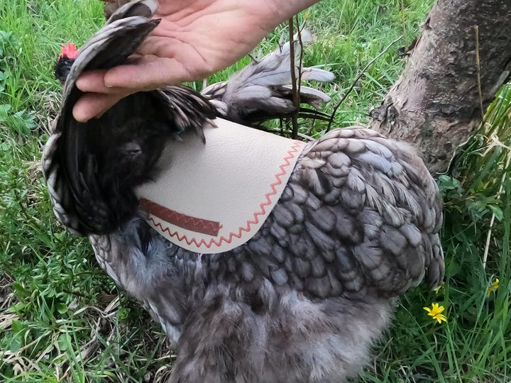 Chicken Cooper Hühnersattel, Hühnerweste, Federschutz, Geflügel Rückenschutz, Echtleder Handgemacht