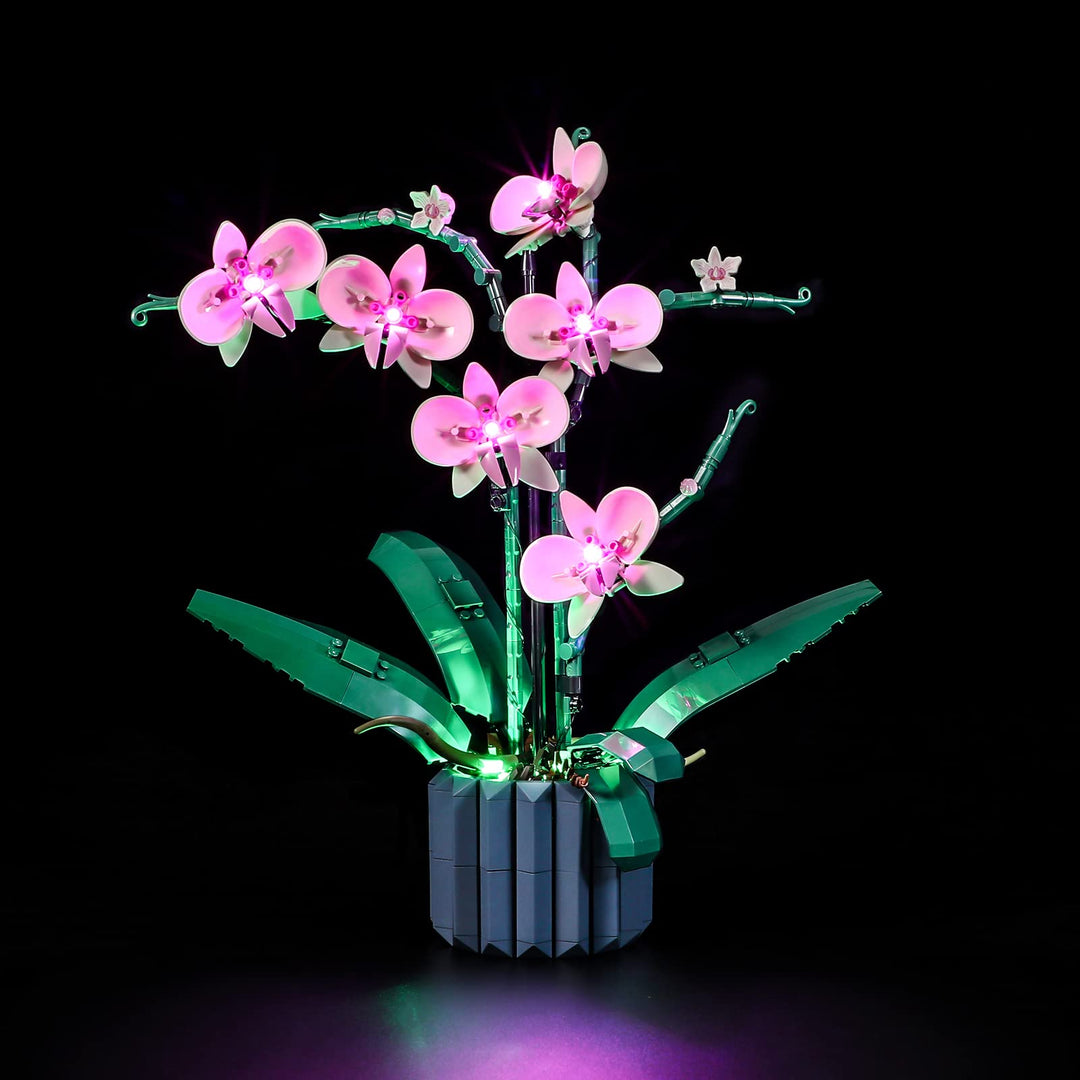 LIGHTAILING Licht-Set Für Lego-10311 Orchidee - Led-Beleuchtungsset Kompatibel Mit Lego Bausteinen M
