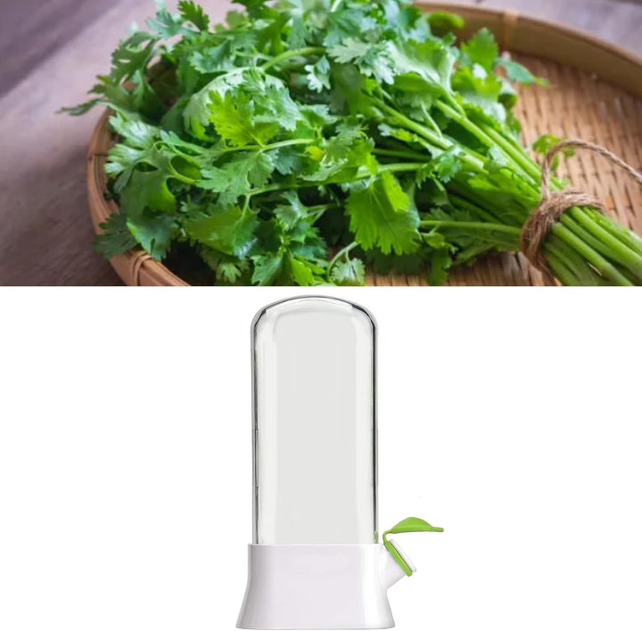 Kräuterbehälter Kühlschrank, Kunststoff, Kräuterschoner, Koriander, Aufbewahrungsbehälter Minze, Pet