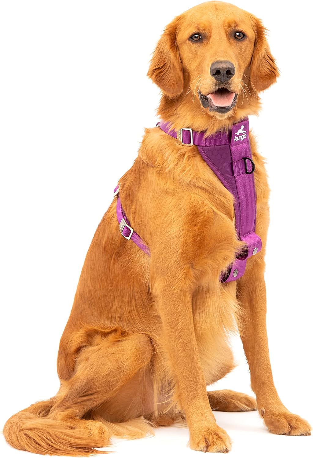 Kurgo Tru-Fit Hundegeschirr, Crash-Test-erprobtes Auto-Sicherheitsgurt, Für Hunde von 2 bis 5 kg, Gr