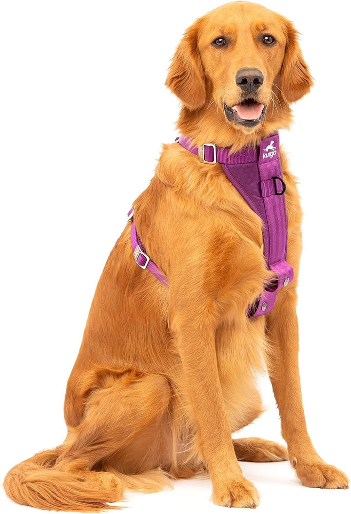 Kurgo Tru-Fit Hundegeschirr, Crash-Test-erprobtes Auto-Sicherheitsgurt, Für Hunde von 2 bis 5 kg, Gr