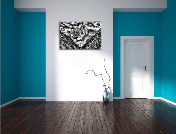 Pixxprint müde Löwin ruht auf Baum als Leinwandbild | Grösse: 100x70 | Wandbild| Kunstdruck | fertig