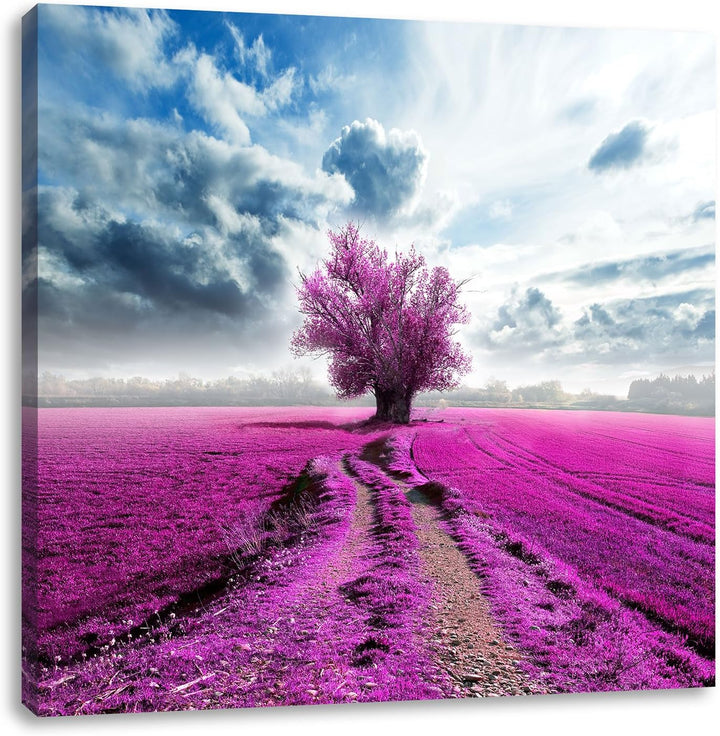 Pixxprint Pinkes Feld mit pinkem Baum / 70x70cm Leinwandbild bespannt auf Holzrahmen/Wandbild Kunstd