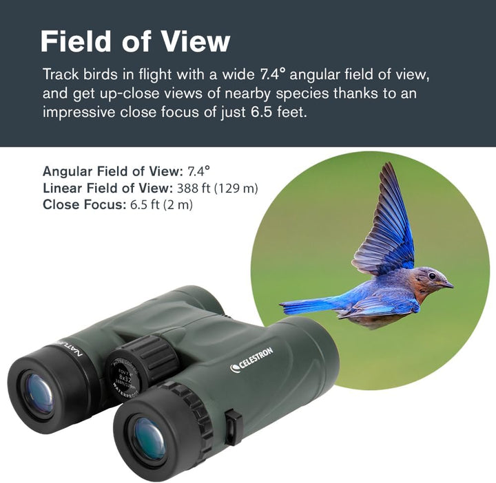 Celestron 71330 8 x 32 DX Nature Fernglas – Grün