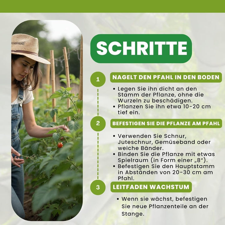 PLANTAWA Bambusstäbe 90 cm Packung mit 25 Stück Ø 10-12 mm | Pflanzstab Bambusstab Gemüse, Tomaten u