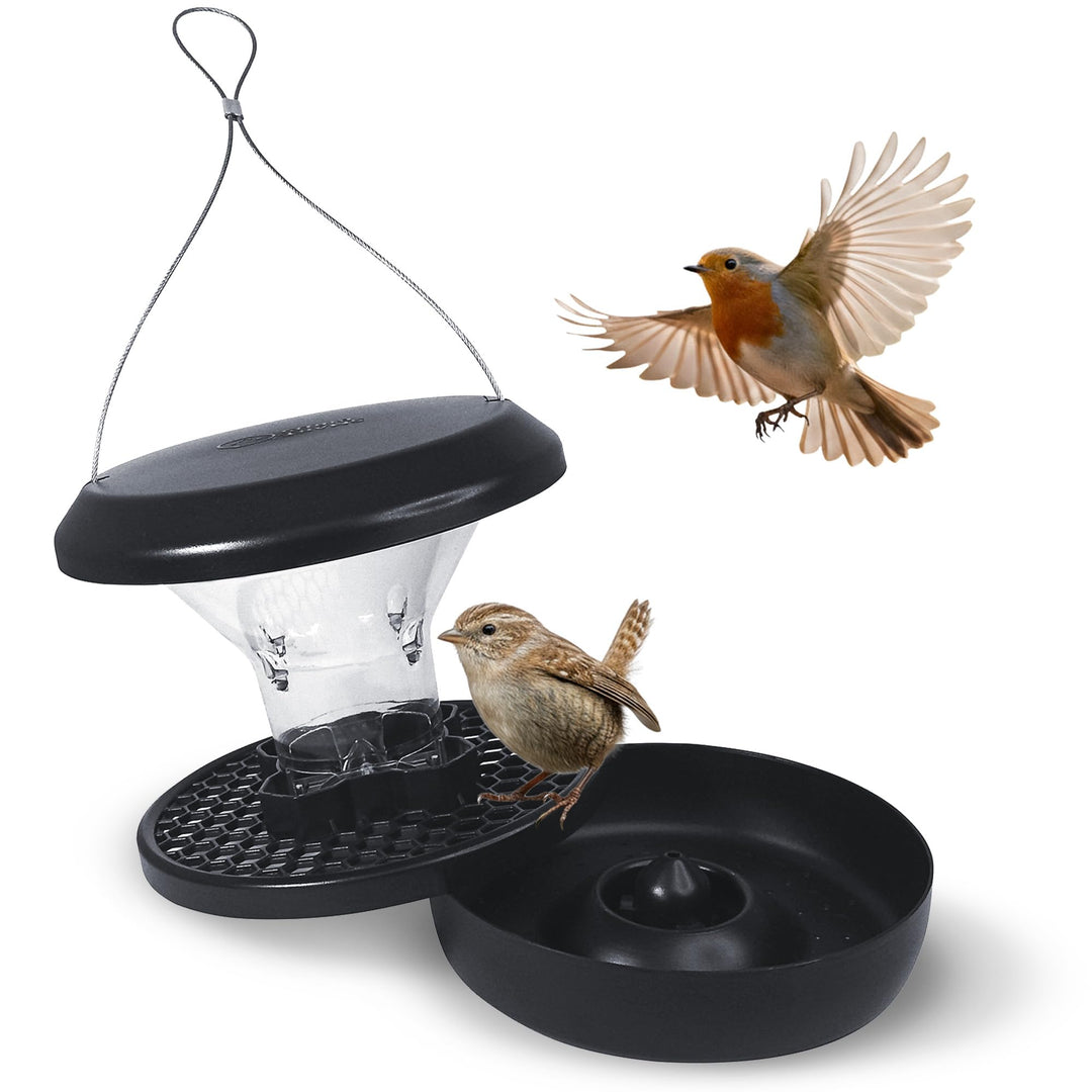 SWISSINNO SMART Birds CHUR Vogelfutterspender Anthrazit aus Aluminium Hängender Saatspender eichhörn
