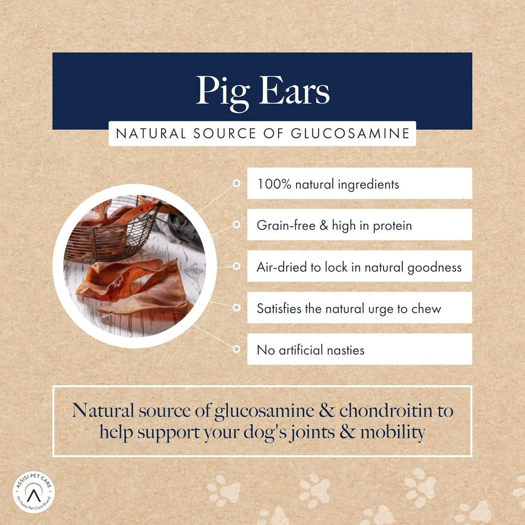 Hollings Pig Ear Treats for Dogs Pack of 10 1 10er-Packung