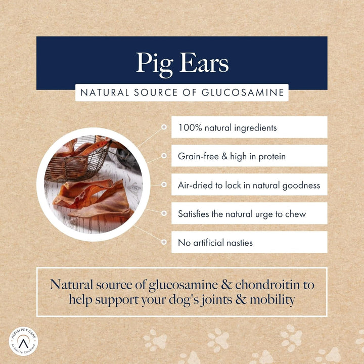 Hollings Pig Ear Treats for Dogs Pack of 10 1 10er-Packung