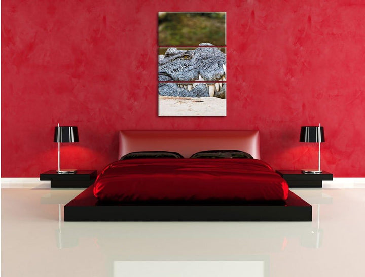 Pixxprint gigantisches Krokodil als Leinwandbild/Grösse: 3 Teilig (120x80 cm) cm/Wandbild/Kunstdruck