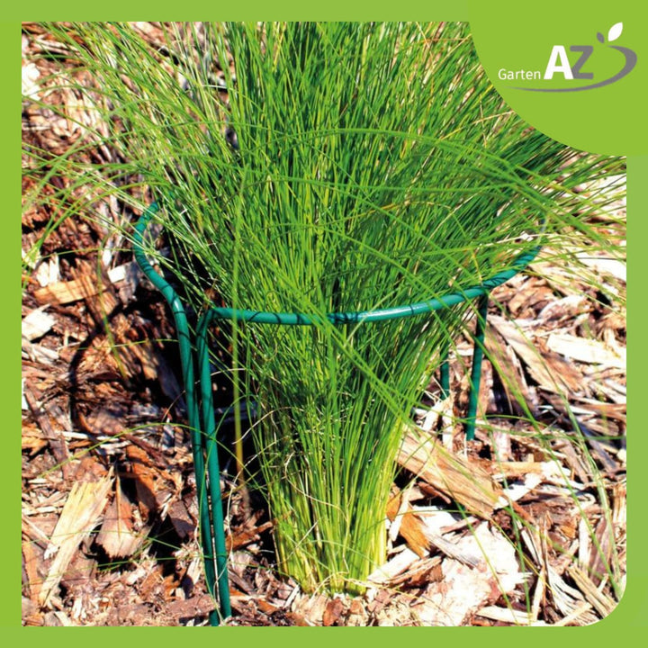 Pflanzenstütze 3er-Set Strauch- &amp; Staudenstütze Metall 70 cm hoch | Blumenstütze halbrund, rostfrei,