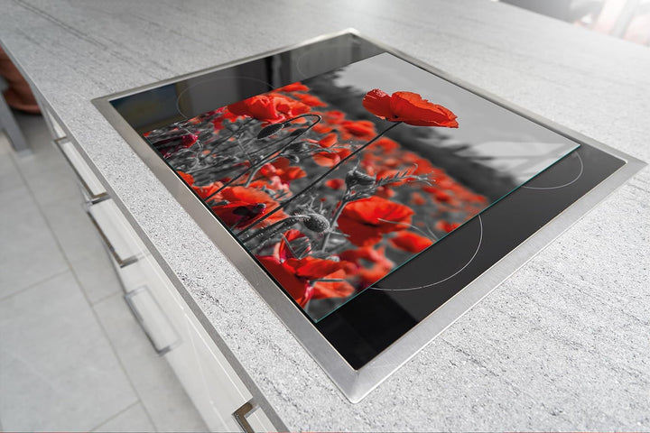 TMK ArtDeko Herdabdeckplatte 45x52 Einteilig Glas Induktion Herdschutz Spritzschutz Glasplatte Deko
