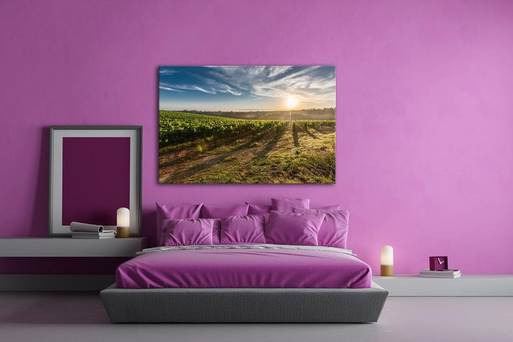 Traubenfeld in der Toskana Format: 100x70 als Leinwand, Motiv fertig gerahmt auf Echtholzrahmen, Hoc