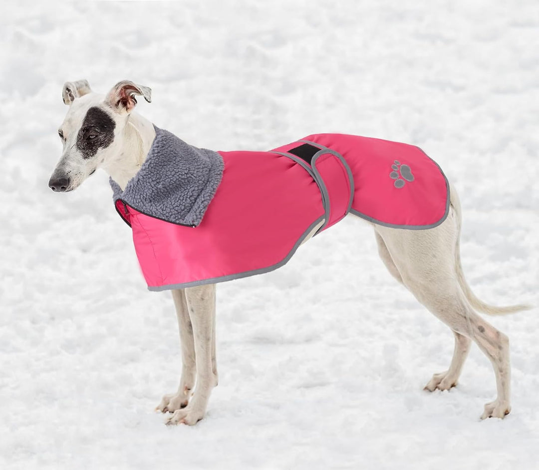 Geyecete Hunde Wintermäntel fur Windhund,Hundejacken mit plüschfutter,Wasserdichter Regenmantel Wind