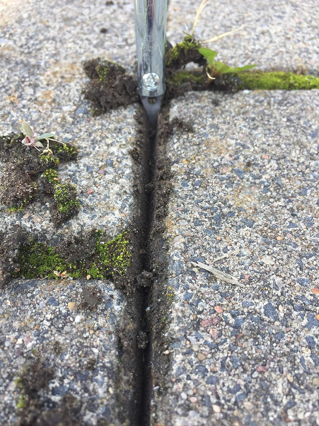 GIGANT Fugenkratzer mit Stiel Fugenreiniger Unkrautkratzer Schneide aus Vollhartmetall verschleissfe