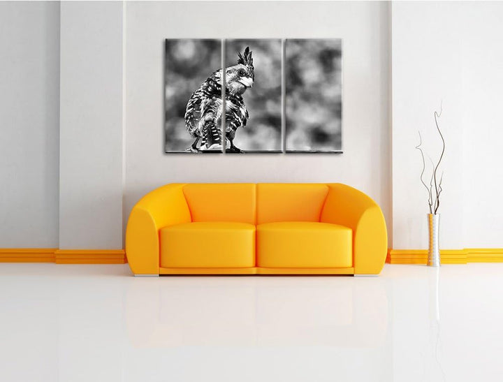 Pixxprint schöner Hauben-Bartvogel als Leinwandbild/Grösse: 3 Teilig (120x80) cm/Wandbild/Kunstdruck