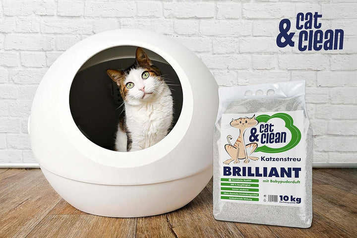 Cat & Clean Katzenstreu Der Extraklasse Klumpendes Einstreu Extrem Saugfähig Naturprodukt Aus Benton