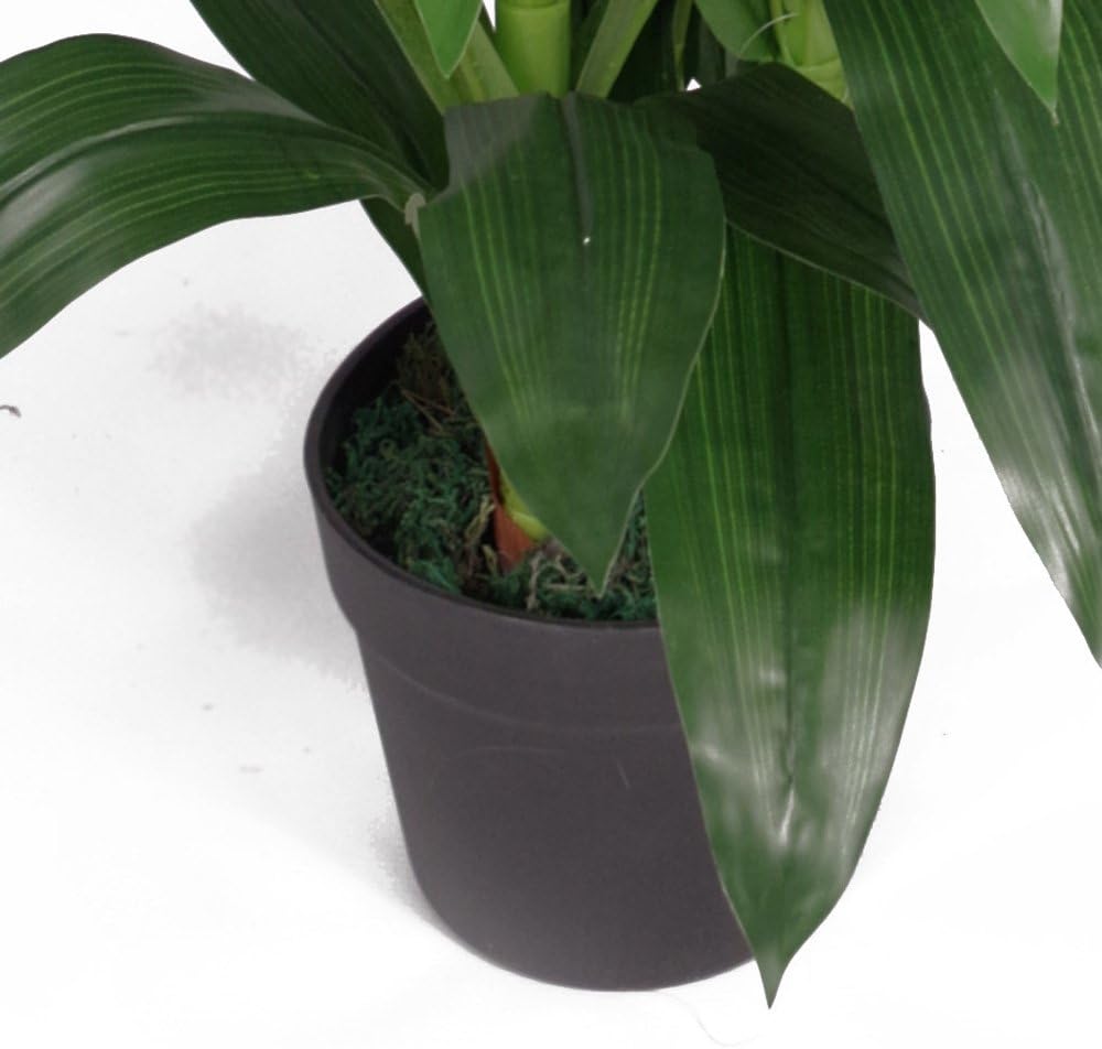 Leaf Kunstpflanze Cymbidium Orchidee, 100 cm, schwarzer Kunststofftopf, weisse Blumen, LEAF-7241 Whi