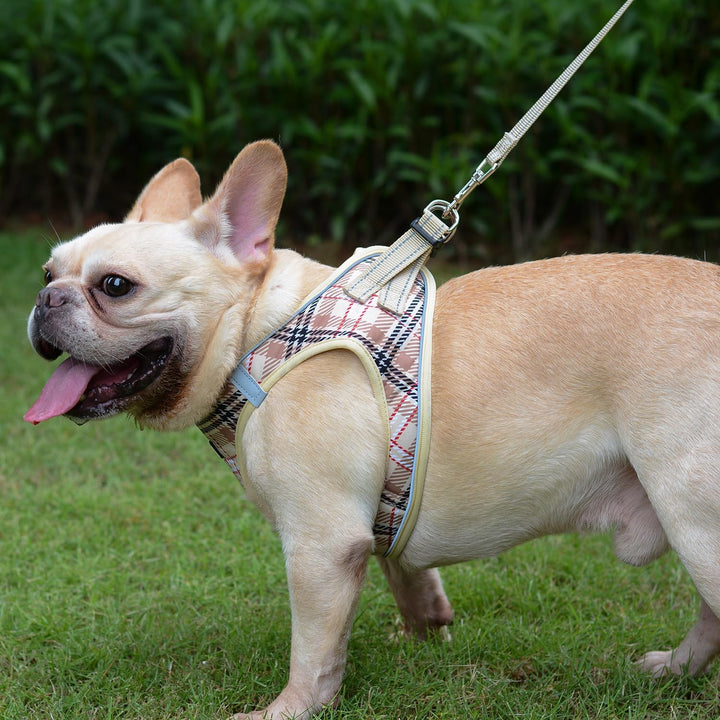 Suredoo Hundegeschirr Kleine Hunde mit Leine, Anti Zug Geschirr Reflektierend Atmungsaktiv Brustgesc