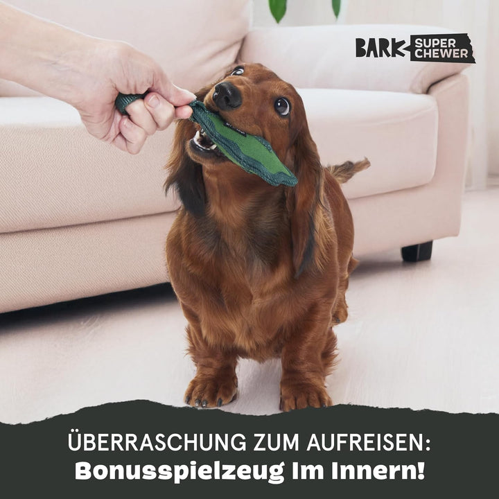 Bark Green Chew Leaf Dog Toy for Small Dogs – 2-in-1 Design with Mixed Textures and Surprises, Perfe