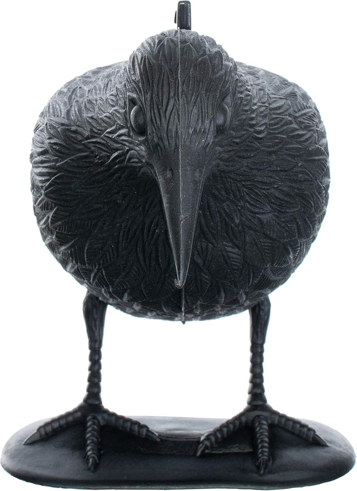 Brandsseller Schwarzer Rabe aus Kunststoff 36 x 20 cm Taubenabwehr Vogelschreck gegen kleine Vögel u