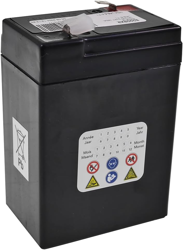 LP BATTERIES NSA LP6-6 T1 6V 6AH AGM Akku Vlies Batterie VRLA Zyklenfest Wartungsfrei für Elektro Sp