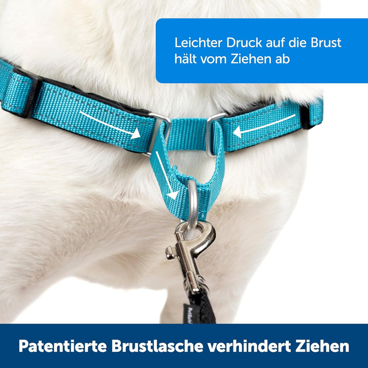 PetSafe Easy Walk Deluxe Anti-Zieh-Geschirr, Verringert Würgen und Husten, Mit Reflektoren ausgestat
