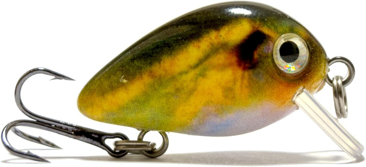 Steinn Wobbler Crankbait Kunstköder Set | Raubfisch Zander Barsch Angeln | 1.6g 2.5cm | Angelköder F