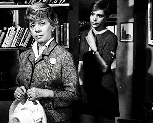Gertrud Stranitzki & Ida Rogalski / Zwei komplette Serien mit Inge Meysel (Pidax Serien-Klassiker) [