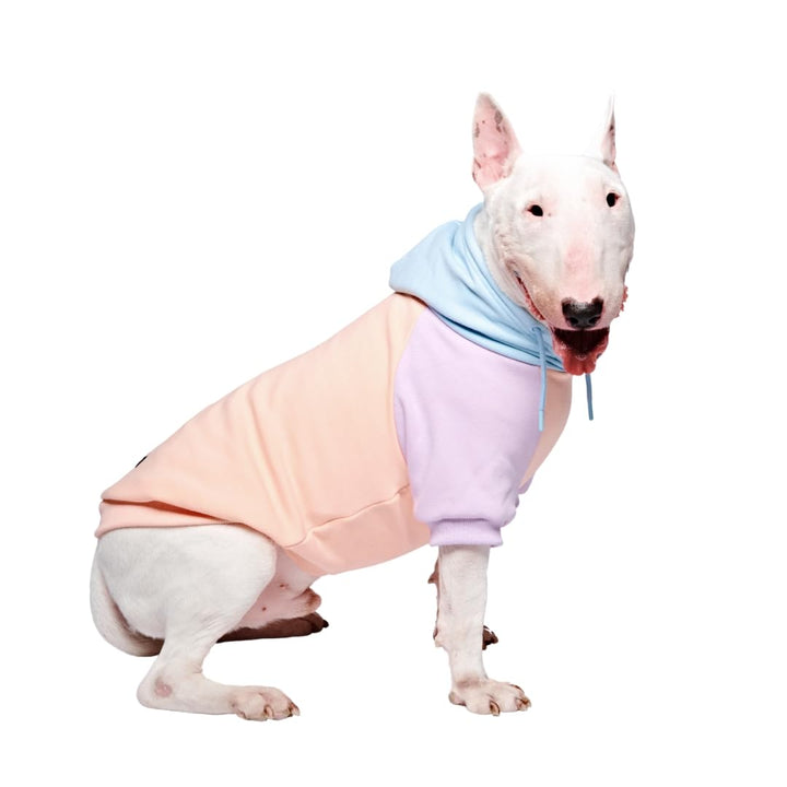 Spark Paws Hunde Hoodie Sweatshirt Pullover - Premium Qualität, weich, Komfortabel und passend für g